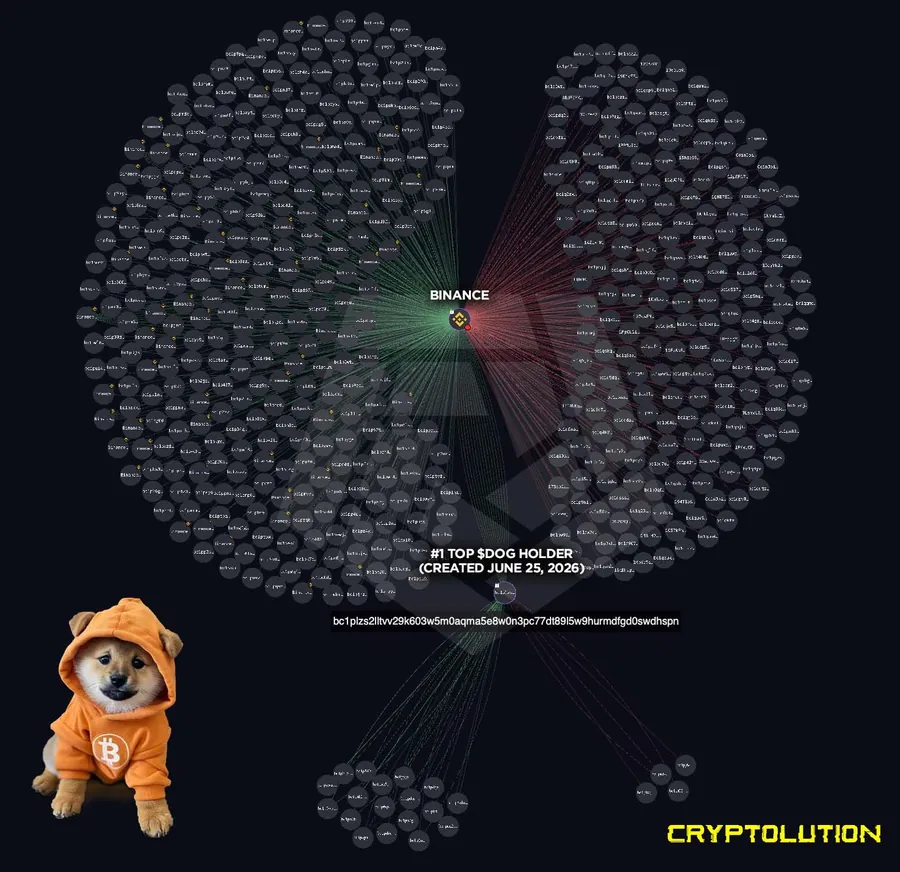 Cryptolution's on-chain graph: the Binance-tagged wallet feeding the top $DOG holder cluster
