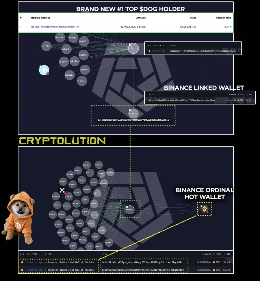 Cryptolution's forensic chart: the brand-new #1 top $DOG holder and its Binance-linked wallet